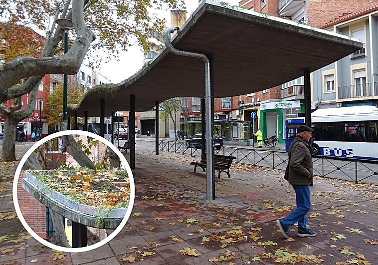 Un jardín colgante reverdece la plaza de Vadillos sobre el frío hormigón de su marquesina